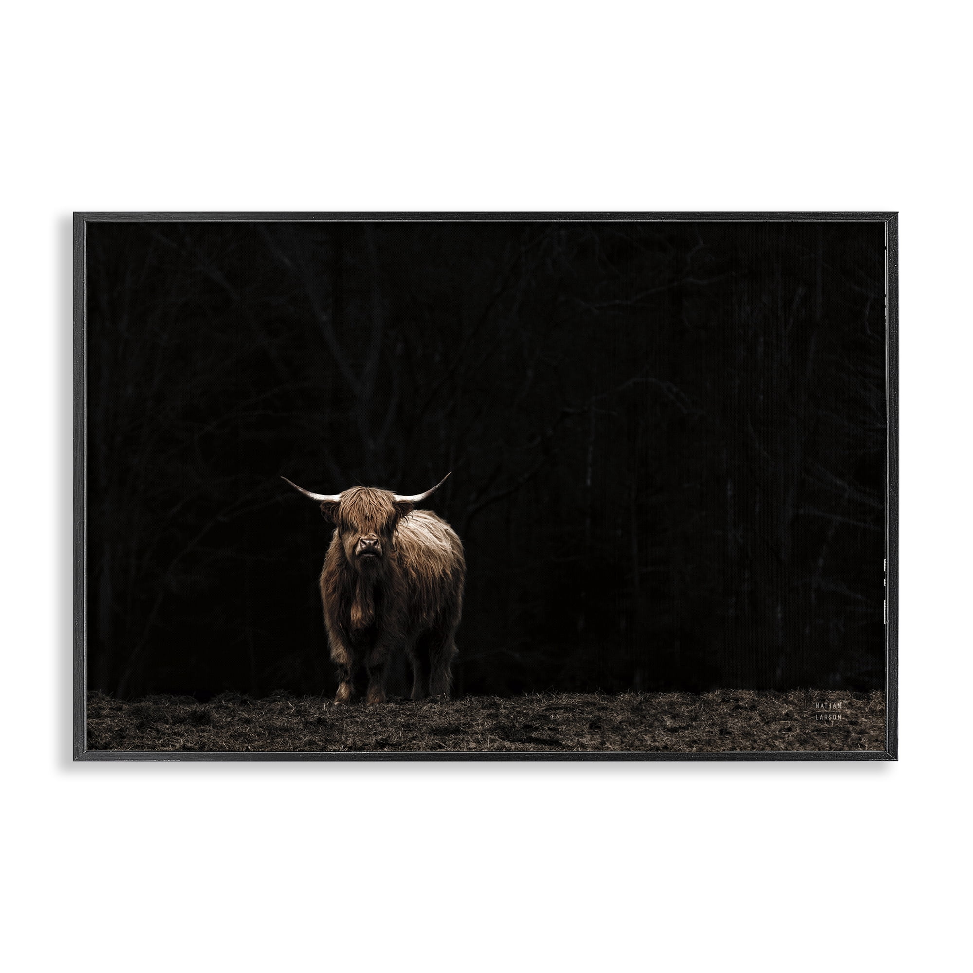 Stupell Industries Dark Contrast Highland Cow Animals Photography Black Framed Art Print Wall Art, 18 x 12