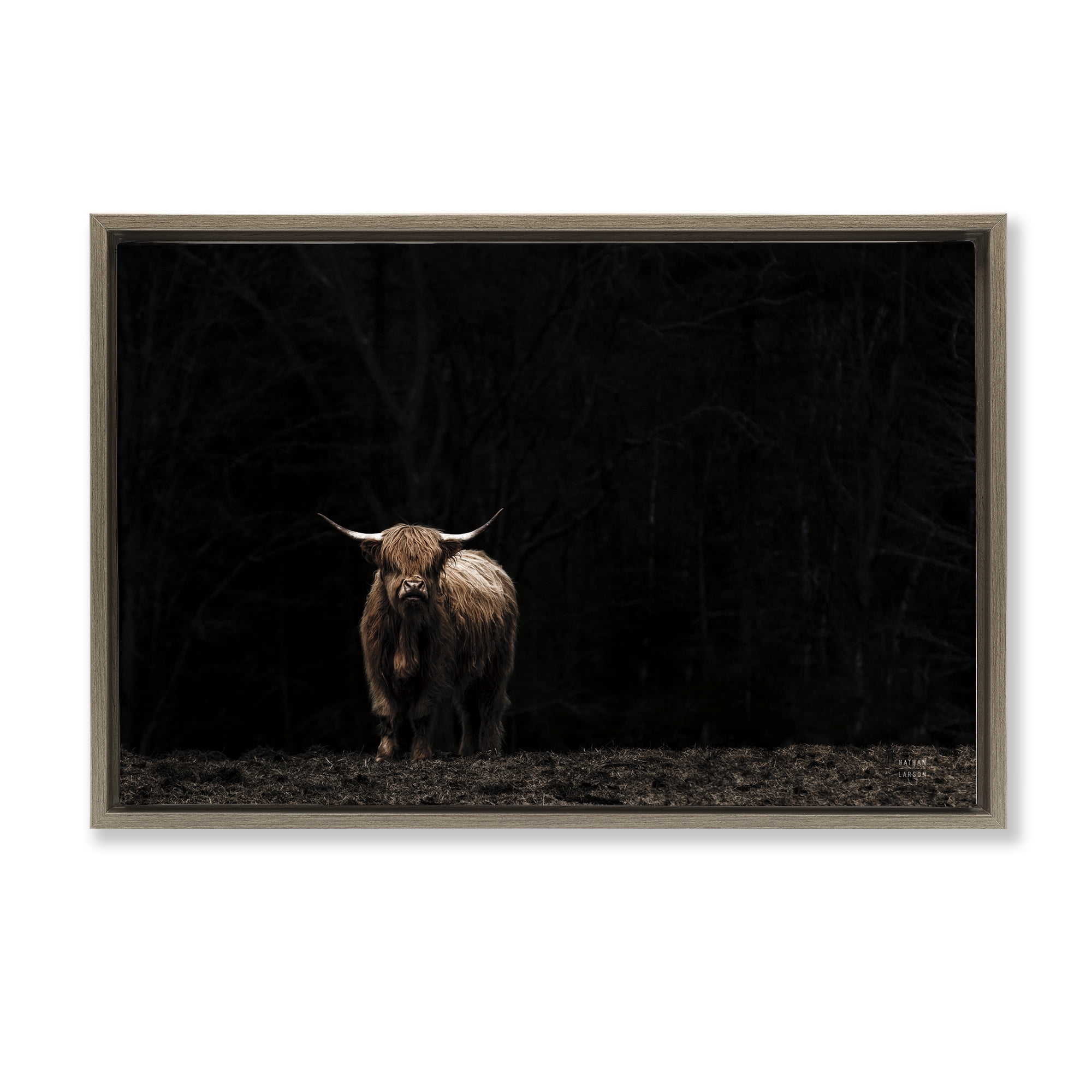 Stupell Industries Dark Contrast Highland Cow Animals Photography Brown Floater Framed Canvas Art Print Wall Art, 31 x 21