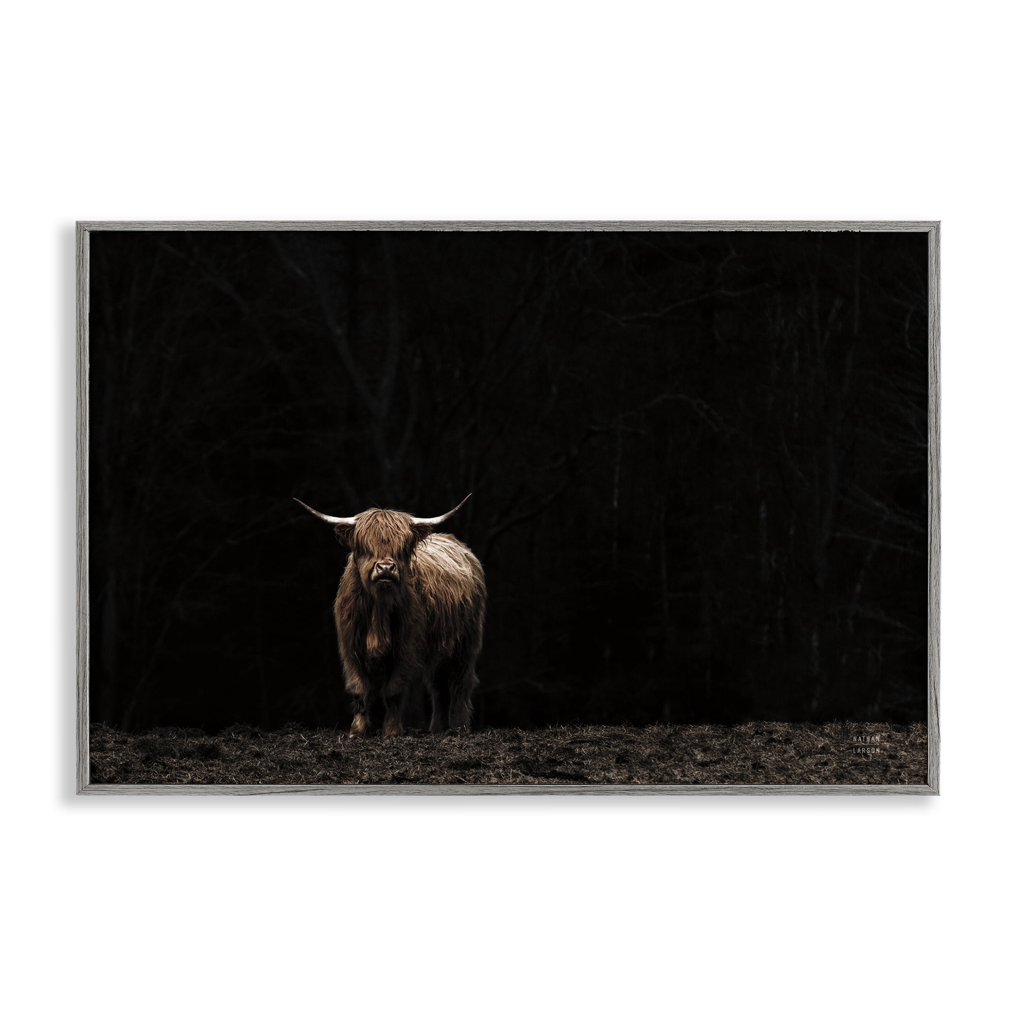 Stupell Industries Dark Contrast Highland Cow Animals Photography Gray Framed Art Print Wall Art, 18 x 12