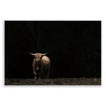 Stupell Industries Dark Contrast Highland Cow Animals Photography Unframed Art Print Wall Art, 15 x 10