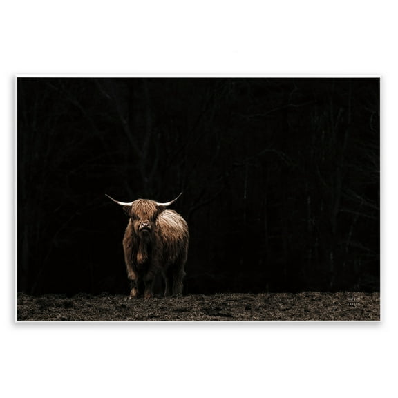 Stupell Industries Dark Contrast Highland Cow Animals Photography Unframed Art Print Wall Art, 15 x 10