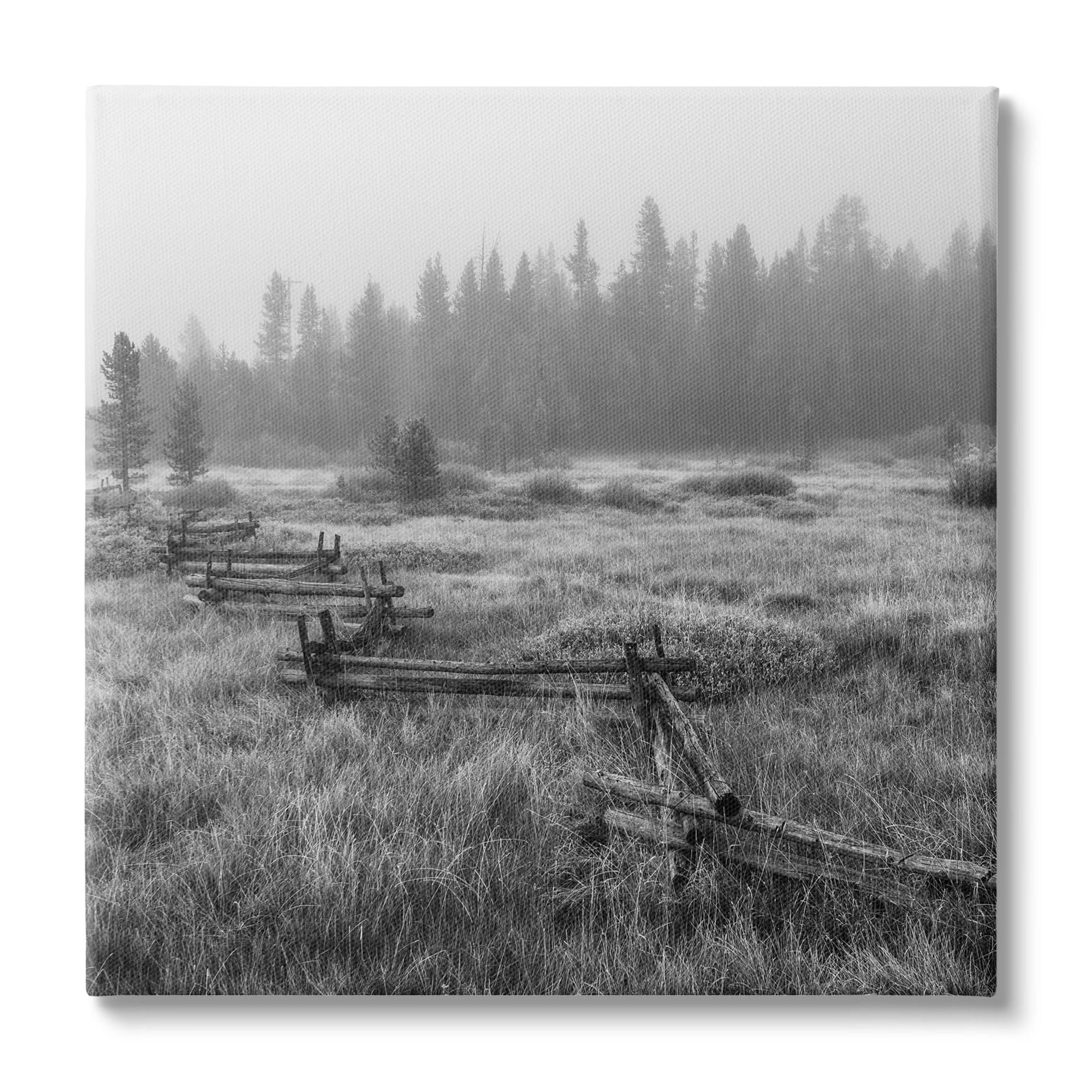 Stupell Industries Dark Countryside Fence Photography Landscape Photography Gallery Wrapped Canvas Print Wall Art