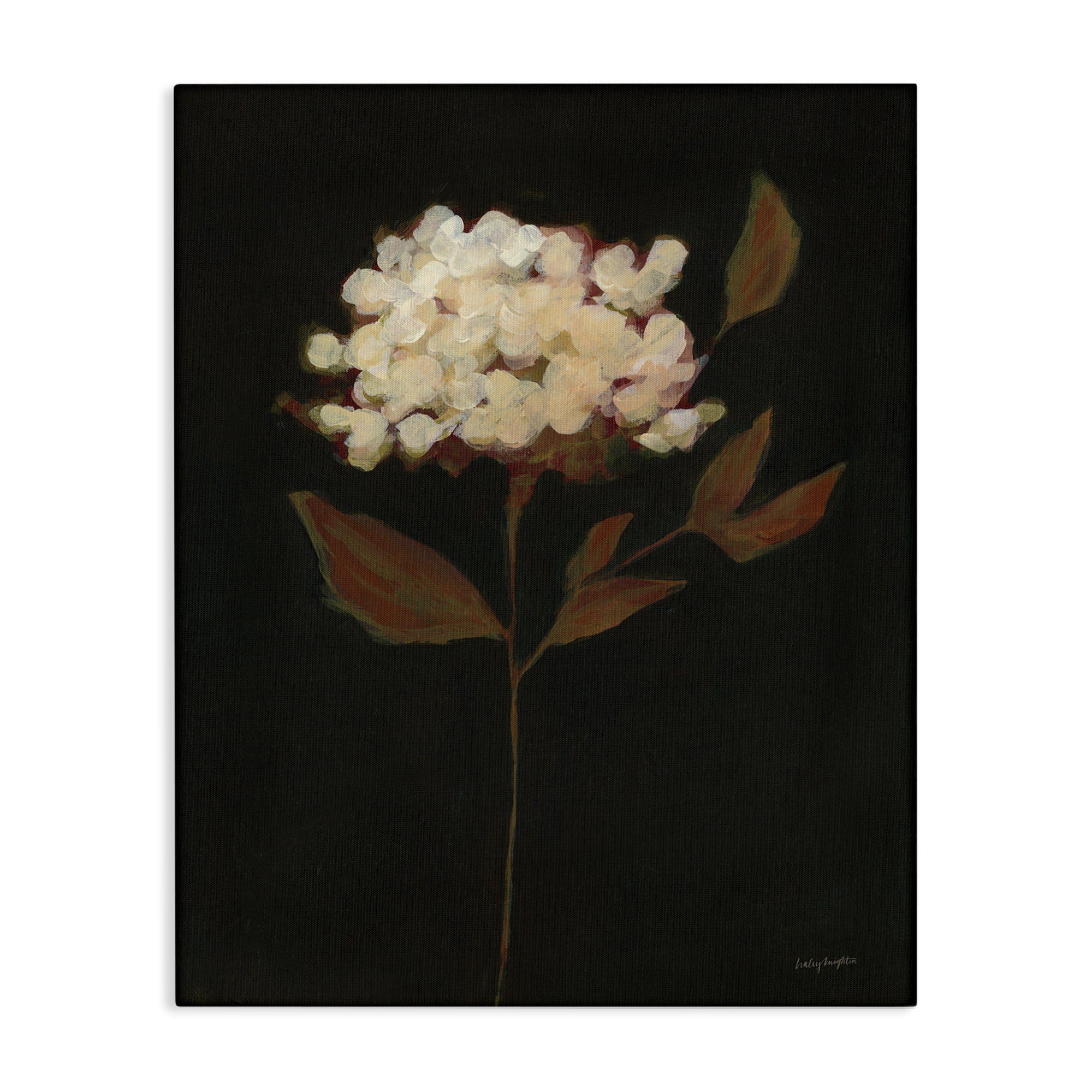 Stupell Industries Dark Fall Flower Botanical & Floral Painting Gallery Wrapped Canvas Art Print Wall Art, 24 x 30