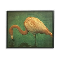 Stupell Industries Dark Flamingo in Pond Animals & Insects Painting Black Framed Art Print Wall Art, 14 x 11