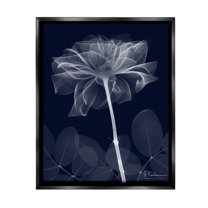 Stupell Industries Dark Flower Shape Botanical & Floral Photography Black Floater Framed Canvas Art Print Wall Art, 17 x 21