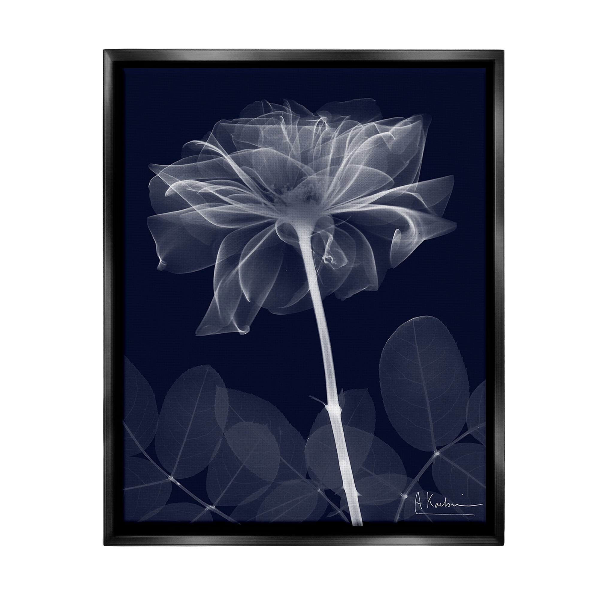 Stupell Industries Dark Flower Shape Botanical & Floral Photography Black Floater Framed Canvas Art Print Wall Art, 25 x 31