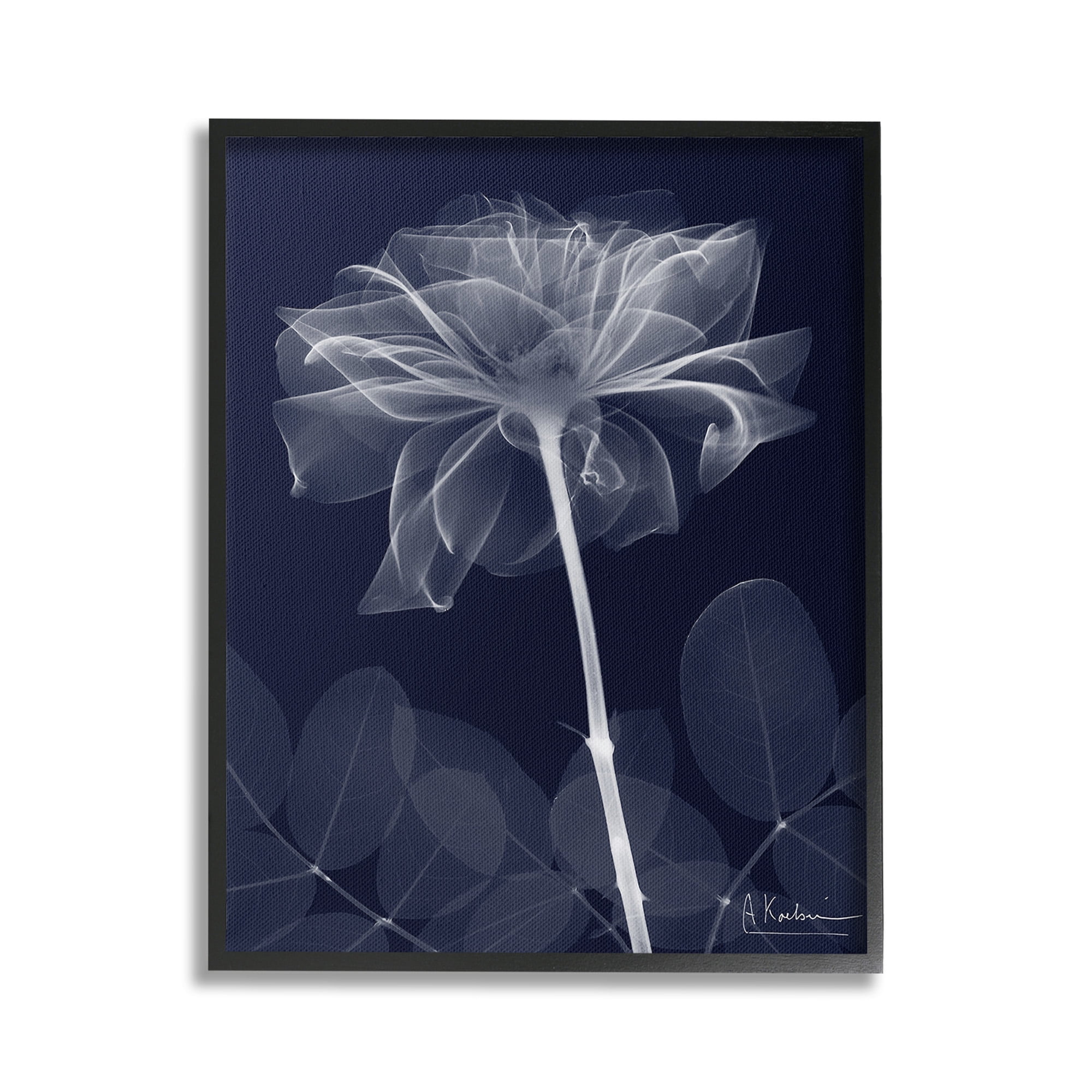 Stupell Industries Dark Flower Shape Botanical & Floral Photography Black Framed Art Print Wall Art, 16 x 20