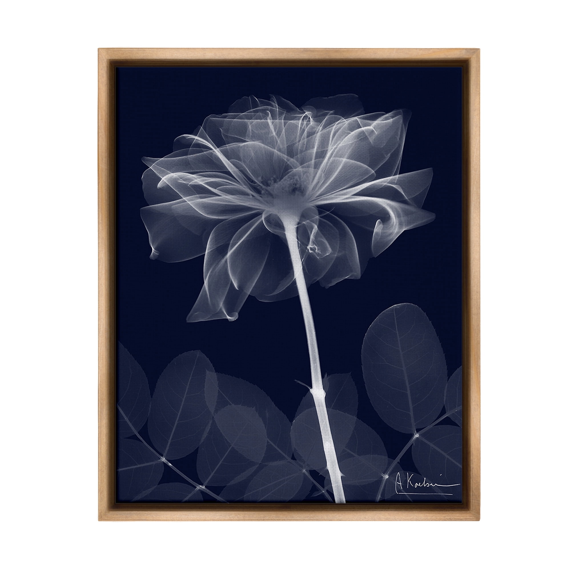 Stupell Industries Dark Flower Shape Botanical & Floral Photography Brown Floater Framed Canvas Art Print Wall Art, 17 x 21