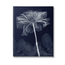 Stupell Industries Dark Flower Shape Botanical & Floral Photography Gallery Wrapped Canvas Art Print Wall Art, 16 x 20