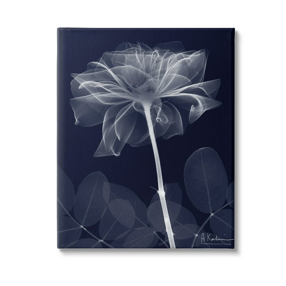 Stupell Industries Dark Flower Shape Botanical & Floral Photography Gallery Wrapped Canvas Art Print Wall Art, 16 x 20