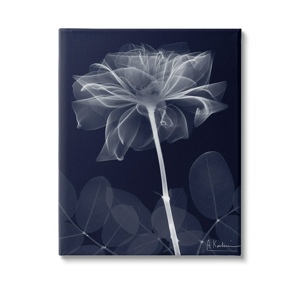 Stupell Industries Dark Flower Shape Botanical & Floral Photography Gallery Wrapped Canvas Art Print Wall Art, 24 x 30