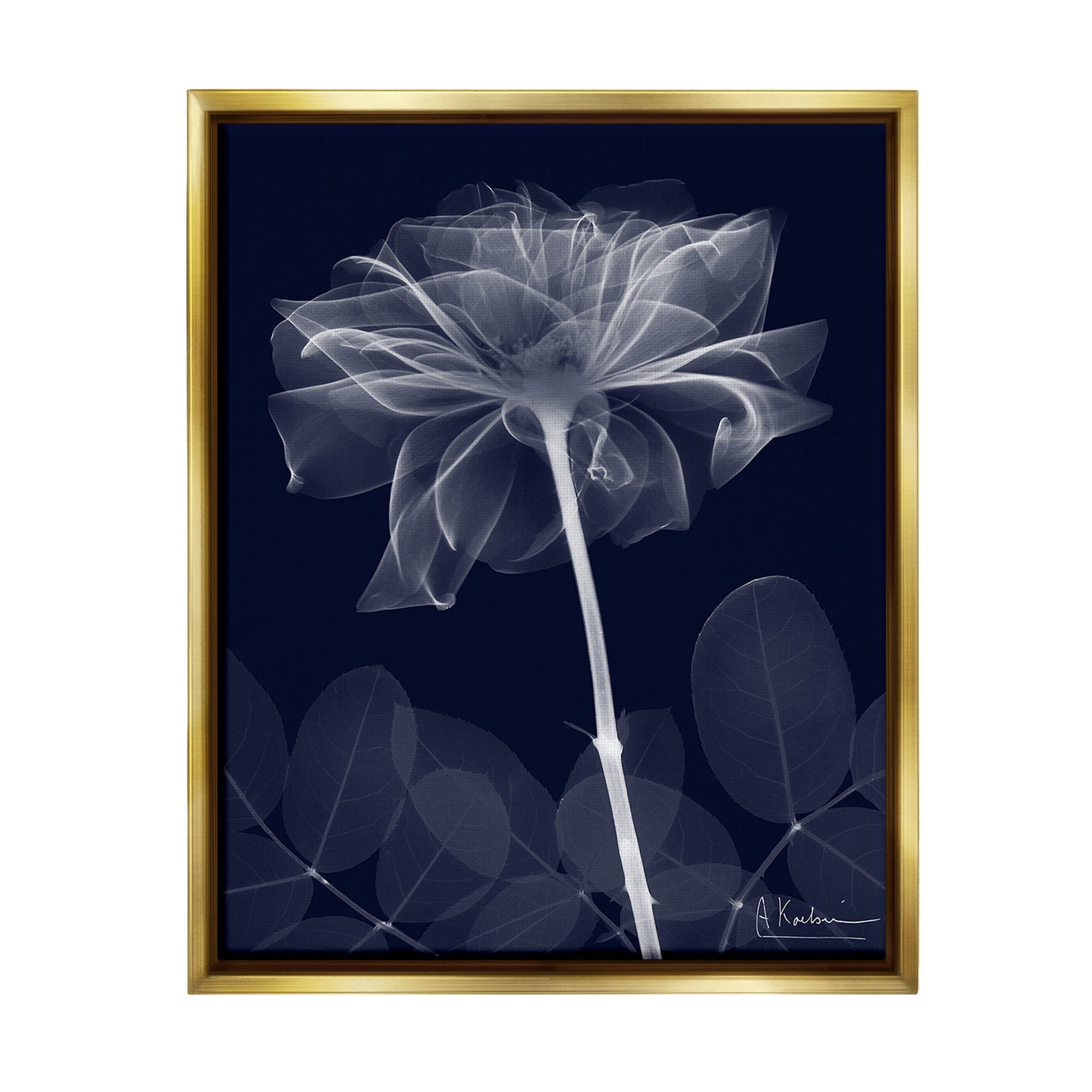 Stupell Industries Dark Flower Shape Botanical & Floral Photography Gold Floater Framed Canvas Art Print Wall Art, 25 x 31