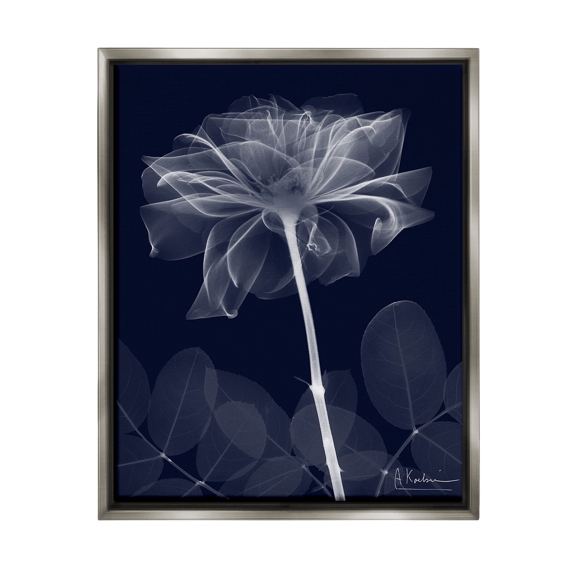 Stupell Industries Dark Flower Shape Botanical & Floral Photography Gray Floater Framed Canvas Art Print Wall Art, 17 x 21