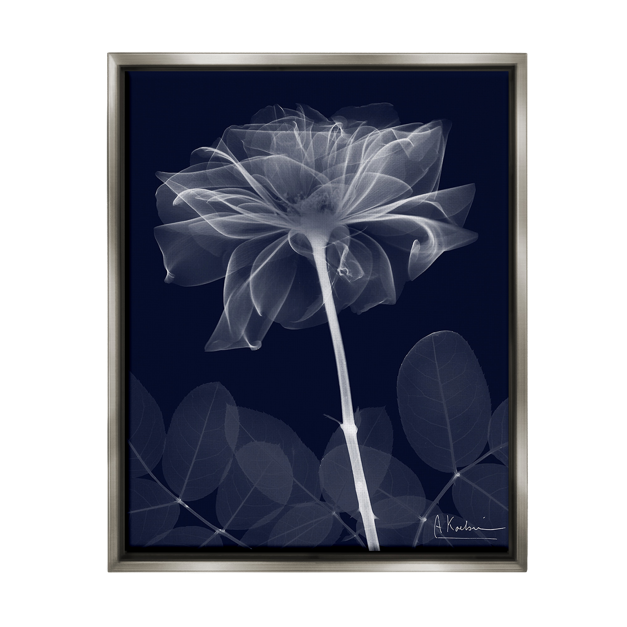 Stupell Industries Dark Flower Shape Botanical & Floral Photography Gray Floater Framed Canvas Art Print Wall Art, 25 x 31