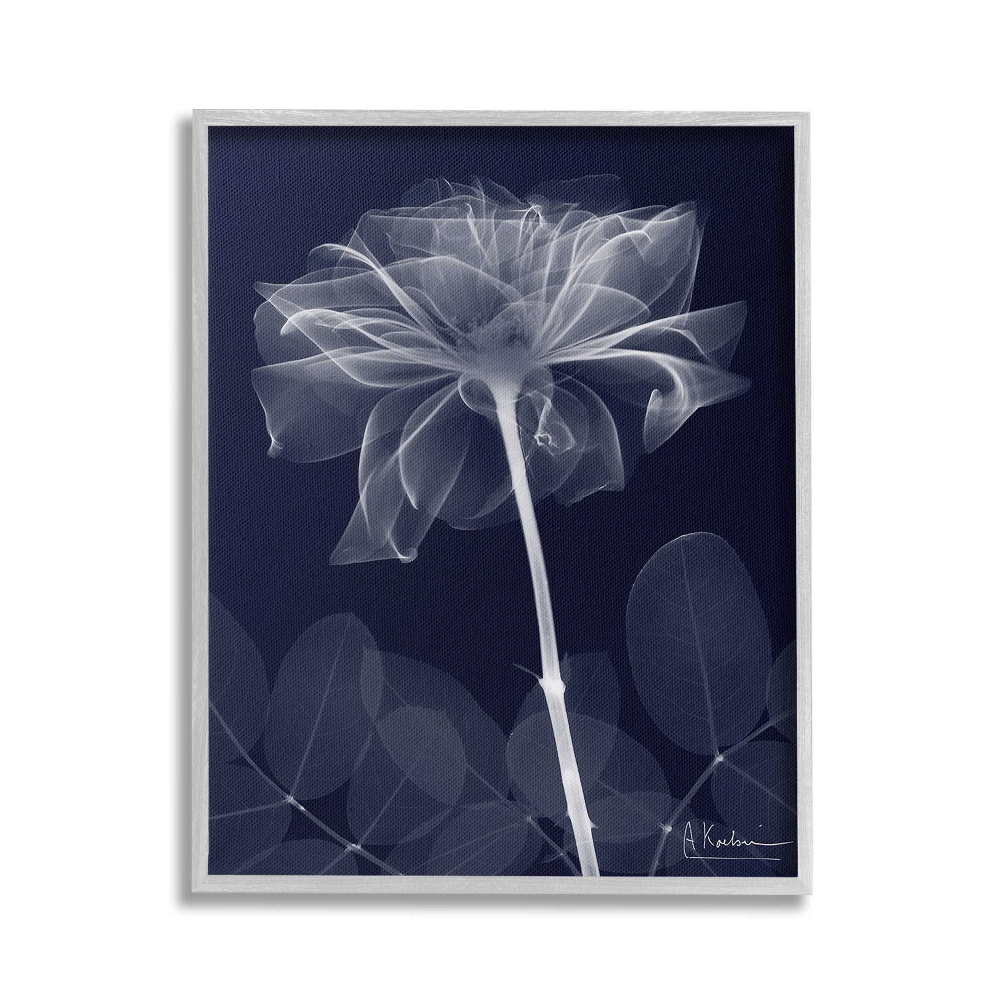 Stupell Industries Dark Flower Shape Botanical & Floral Photography Gray Framed Art Print Wall Art, 24 x 30