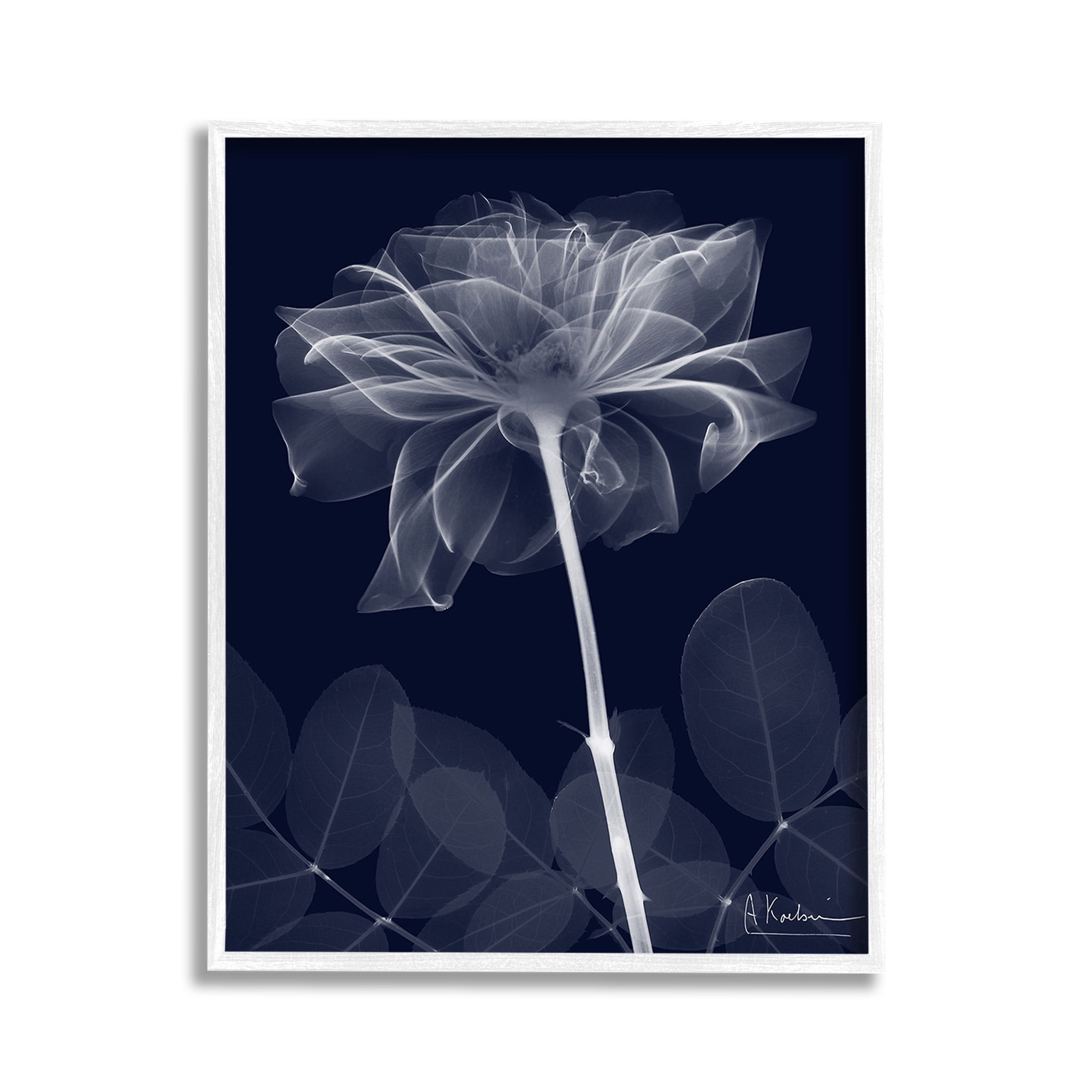 Stupell Industries Dark Flower Shape Botanical & Floral Photography White Framed Art Print Wall Art, 11 x 14