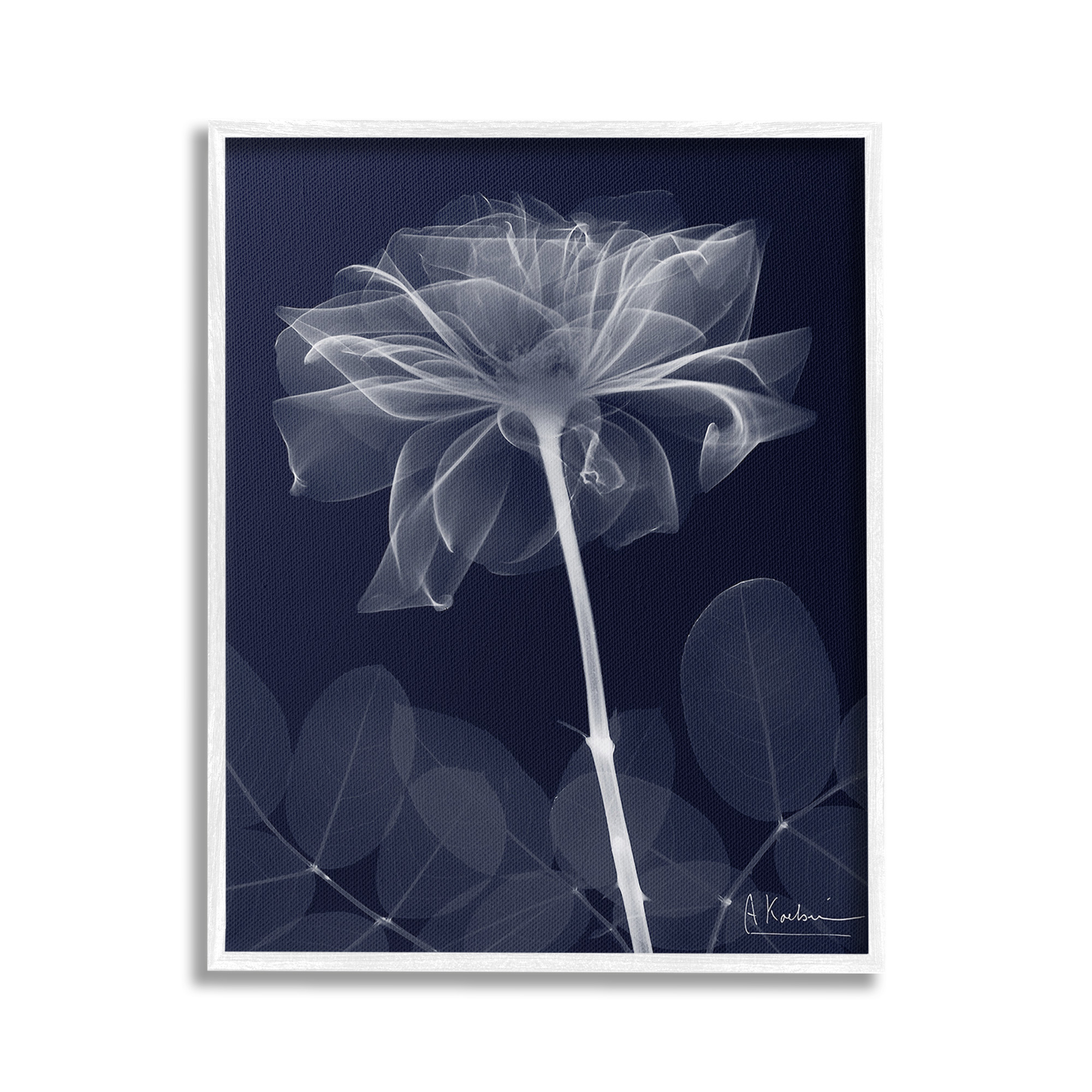 Stupell Industries Dark Flower Shape Botanical & Floral Photography White Framed Art Print Wall Art, 16 x 20