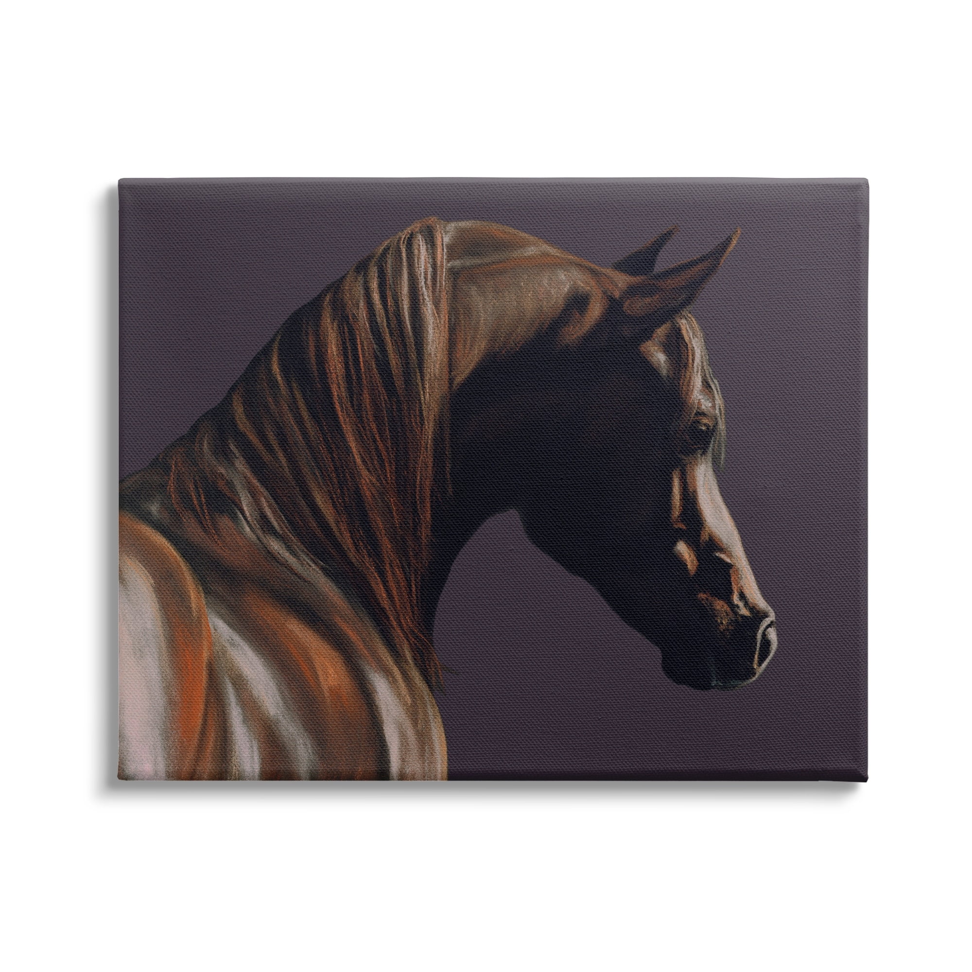 Stupell Industries Dark Horse Animal Portrait Animals & Insects Painting Gallery Wrapped Canvas Print Wall Art
