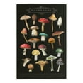 thumbnail image 1 of Stupell Industries Dark Informative Mushroom Chart Landscape Painting Unframed Art Print Wall Art, 1 of 6