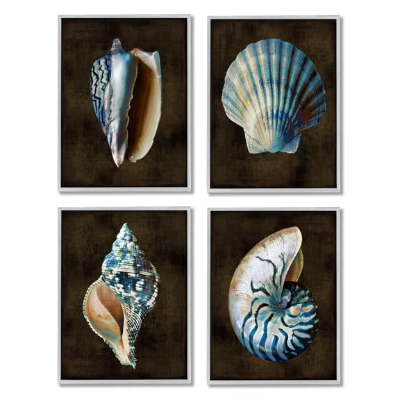 Stupell Industries Dark Maritime Seashells Animals & Insects Painting Gray Framed Art Print Wall Art, 11 x 14, Set of 4