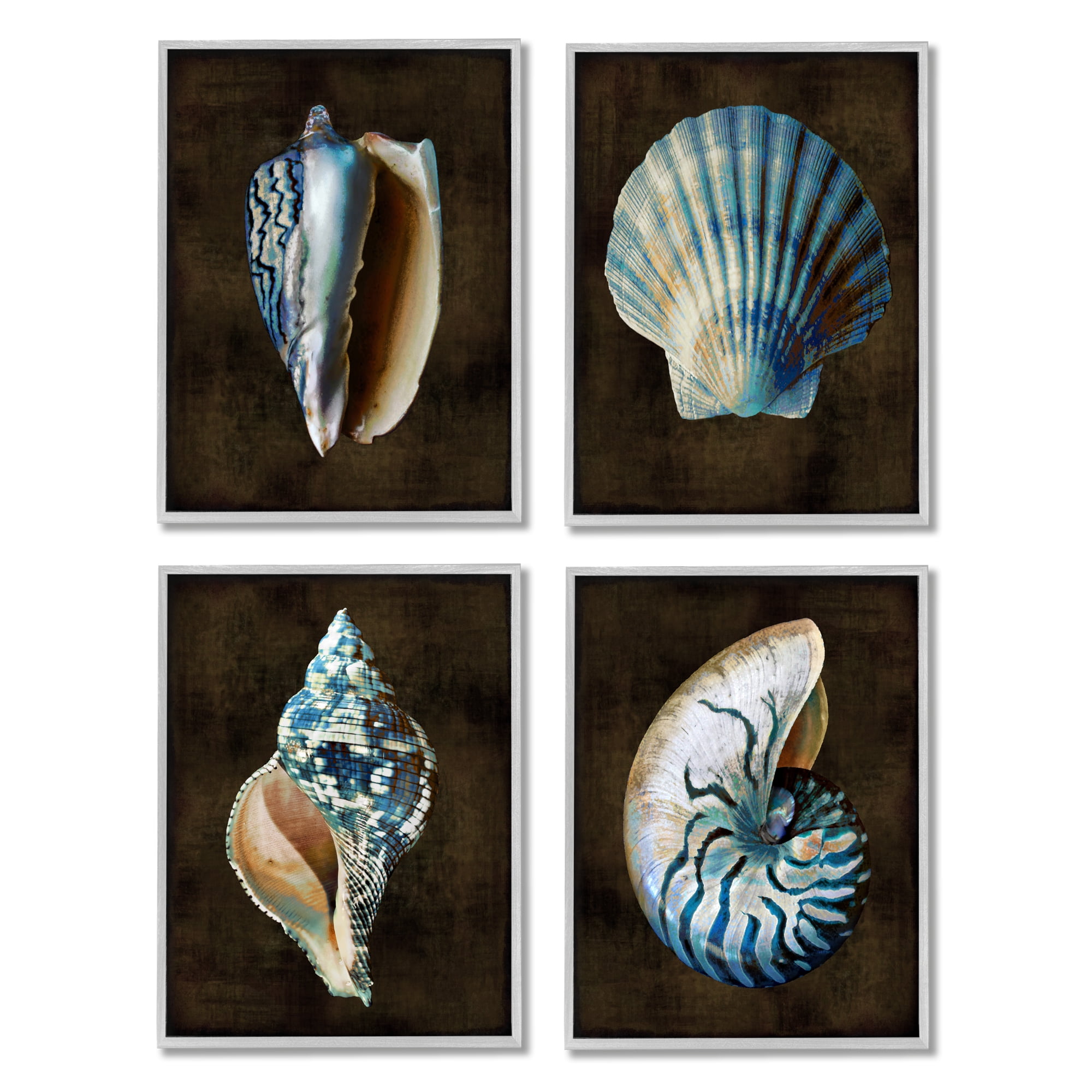 Stupell Industries Dark Maritime Seashells Animals & Insects Painting Gray Framed Art Print Wall Art, 16 x 20, Set of 4