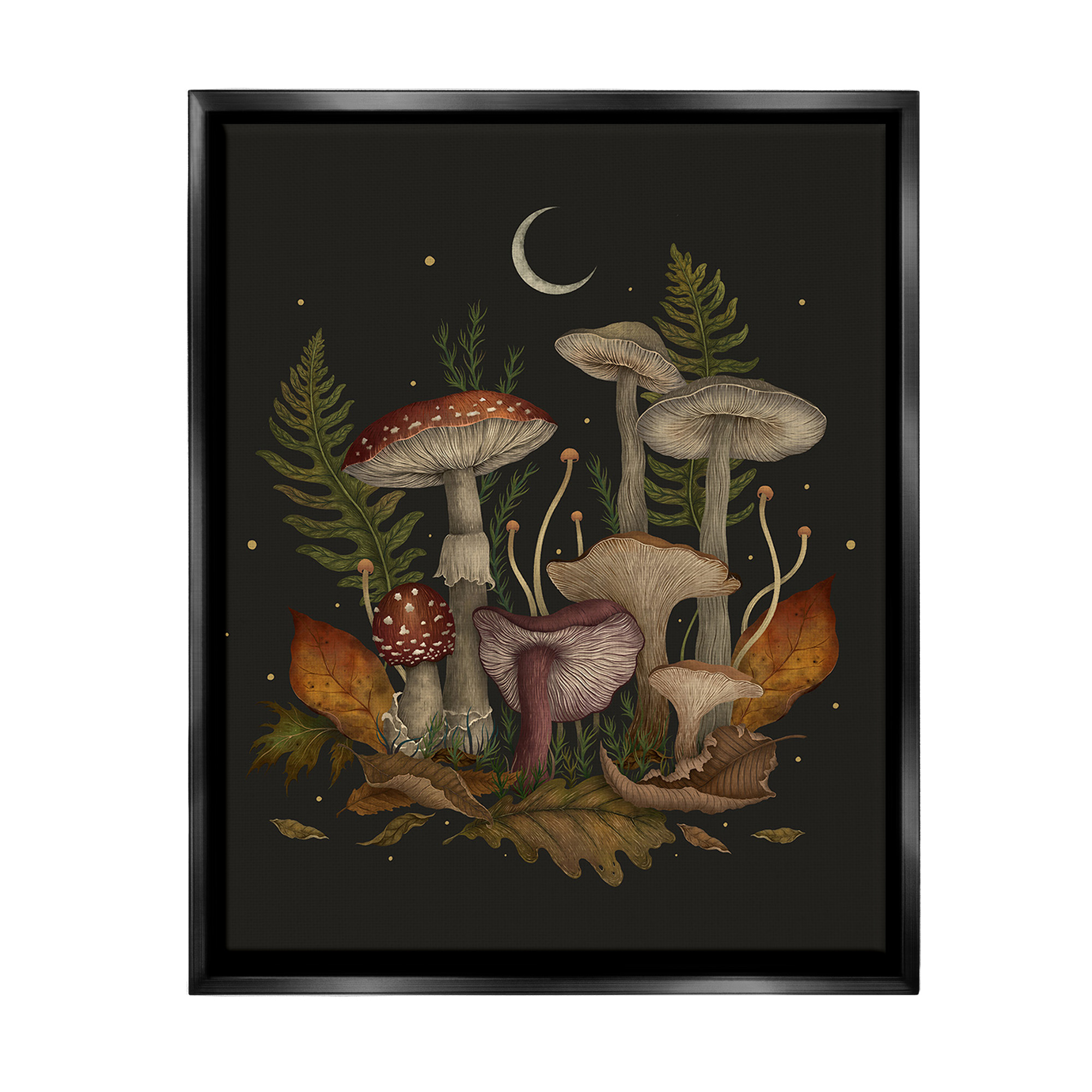 Stupell Industries Dark Mushrooms with Moon Botanical & Floral Painting Black Floater Framed Canvas Art Print Wall Art, 17 x 21
