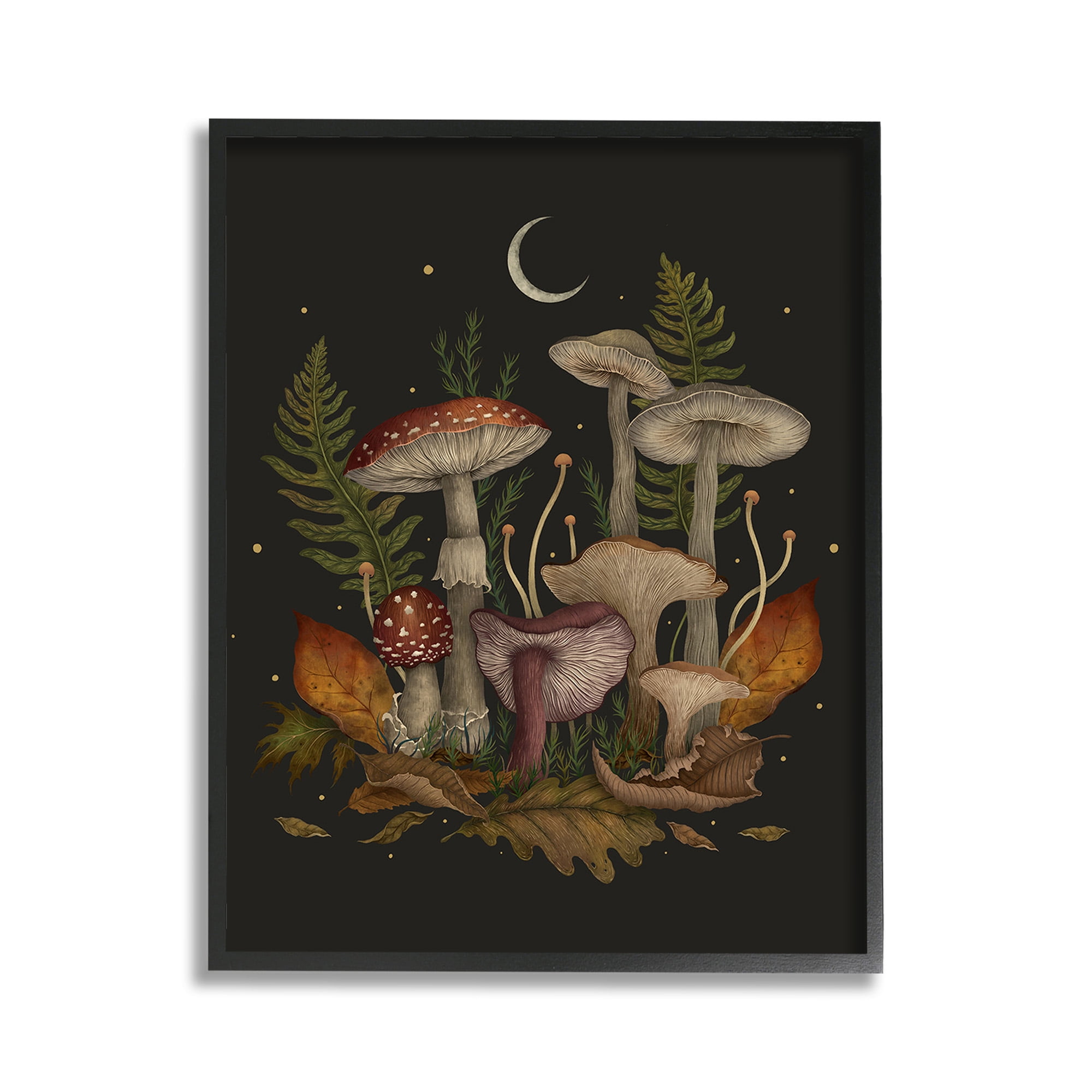 Stupell Industries Dark Mushrooms with Moon Botanical & Floral Painting Black Framed Art Print Wall Art, 11 x 14