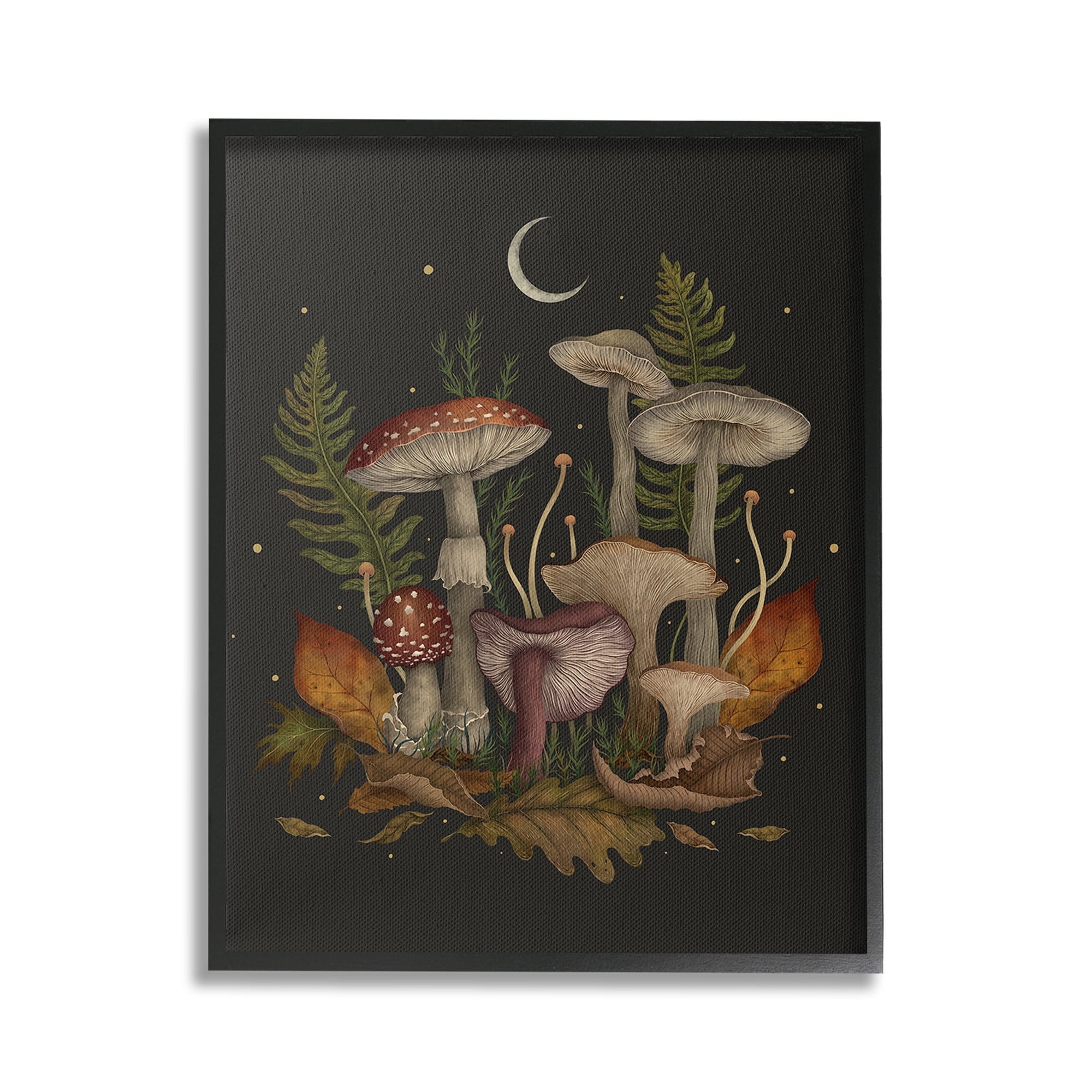 Stupell Industries Dark Mushrooms with Moon Botanical & Floral Painting Black Framed Art Print Wall Art, 24 x 30