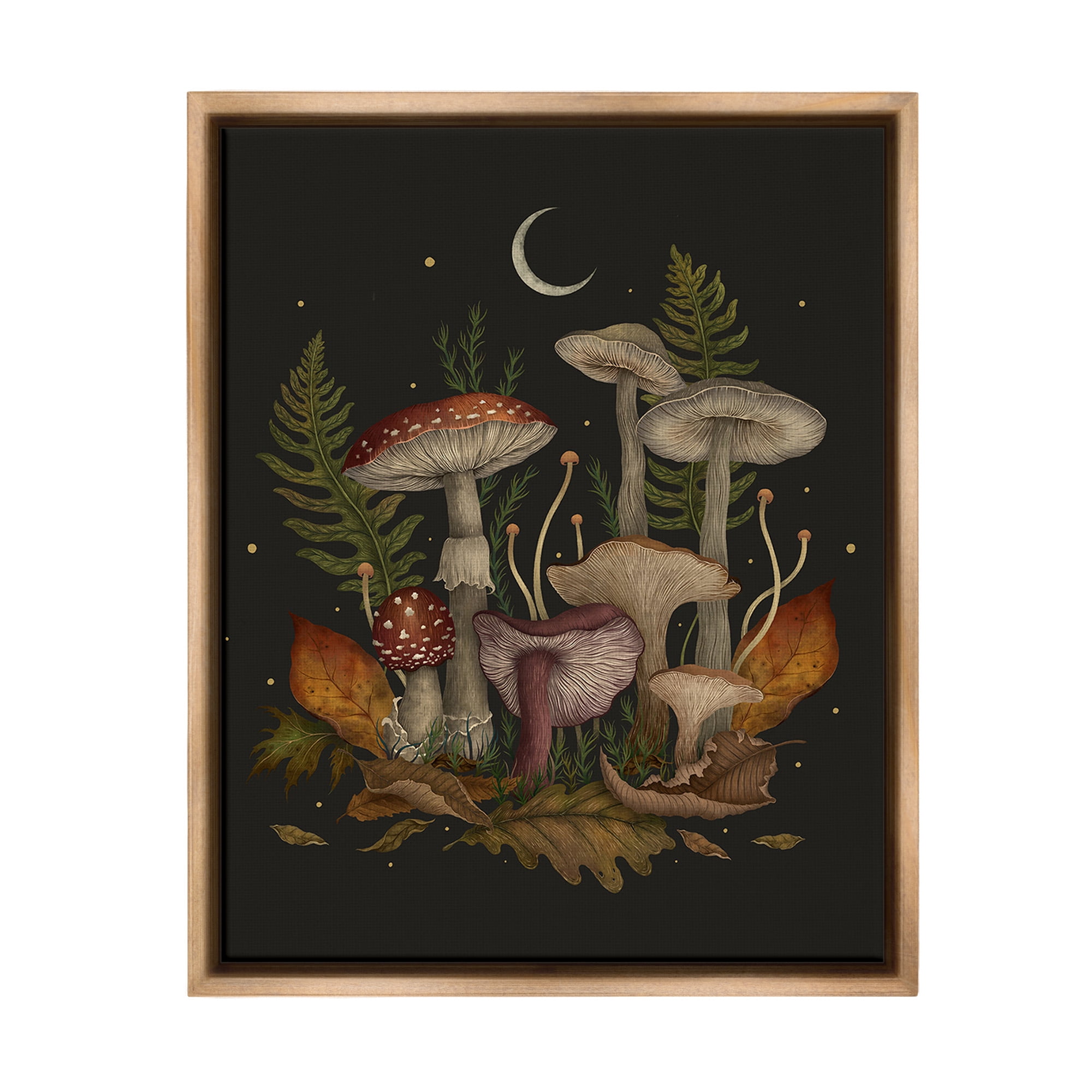 Stupell Industries Dark Mushrooms with Moon Botanical & Floral Painting Brown Floater Framed Canvas Art Print Wall Art, 25 x 31