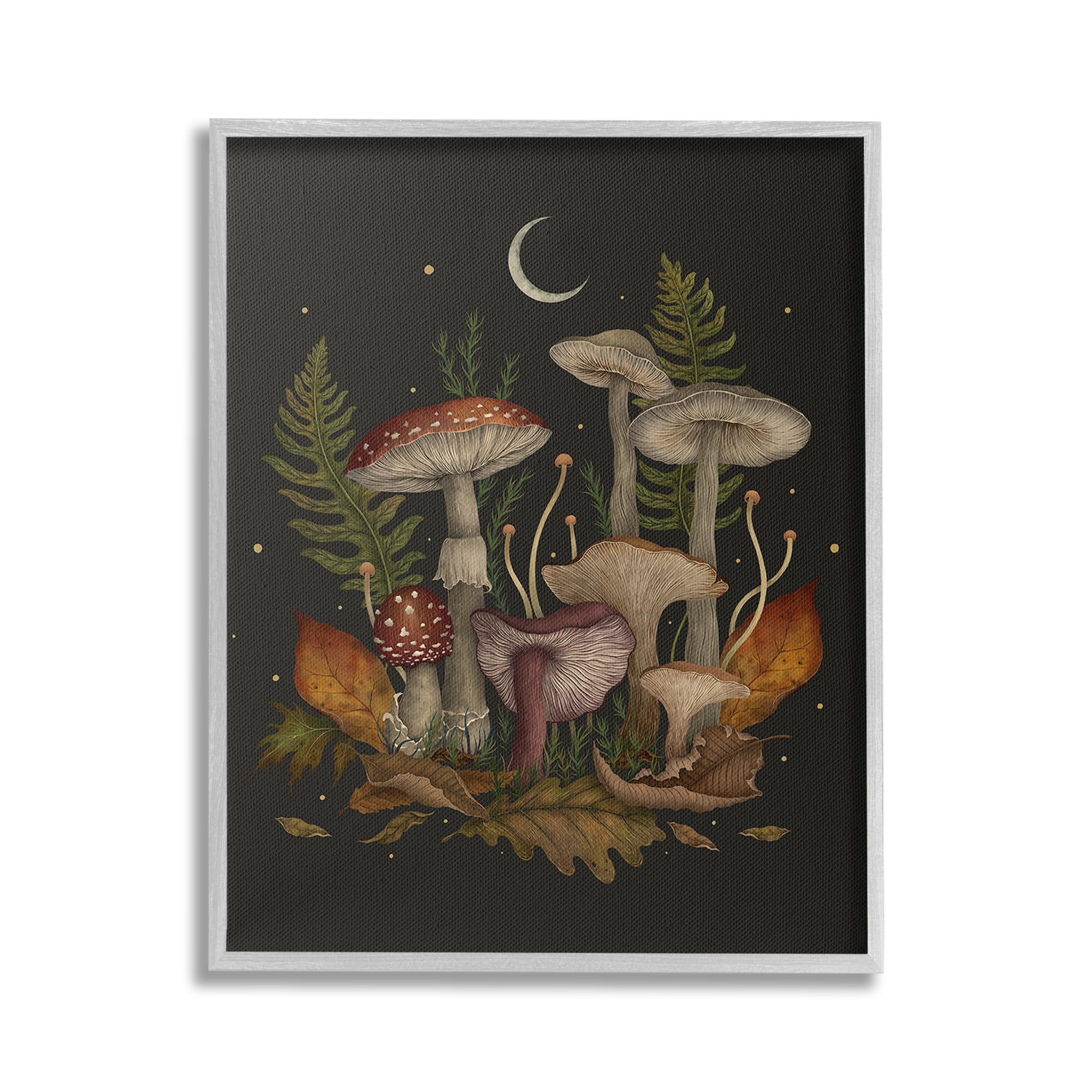 Stupell Industries Dark Mushrooms with Moon Botanical & Floral Painting Gray Framed Art Print Wall Art, 24 x 30