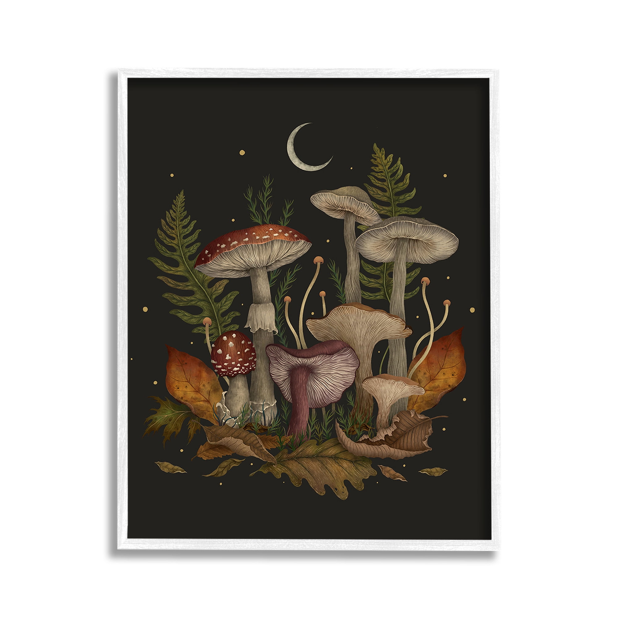Stupell Industries Dark Mushrooms with Moon Botanical & Floral Painting White Framed Art Print Wall Art, 11 x 14