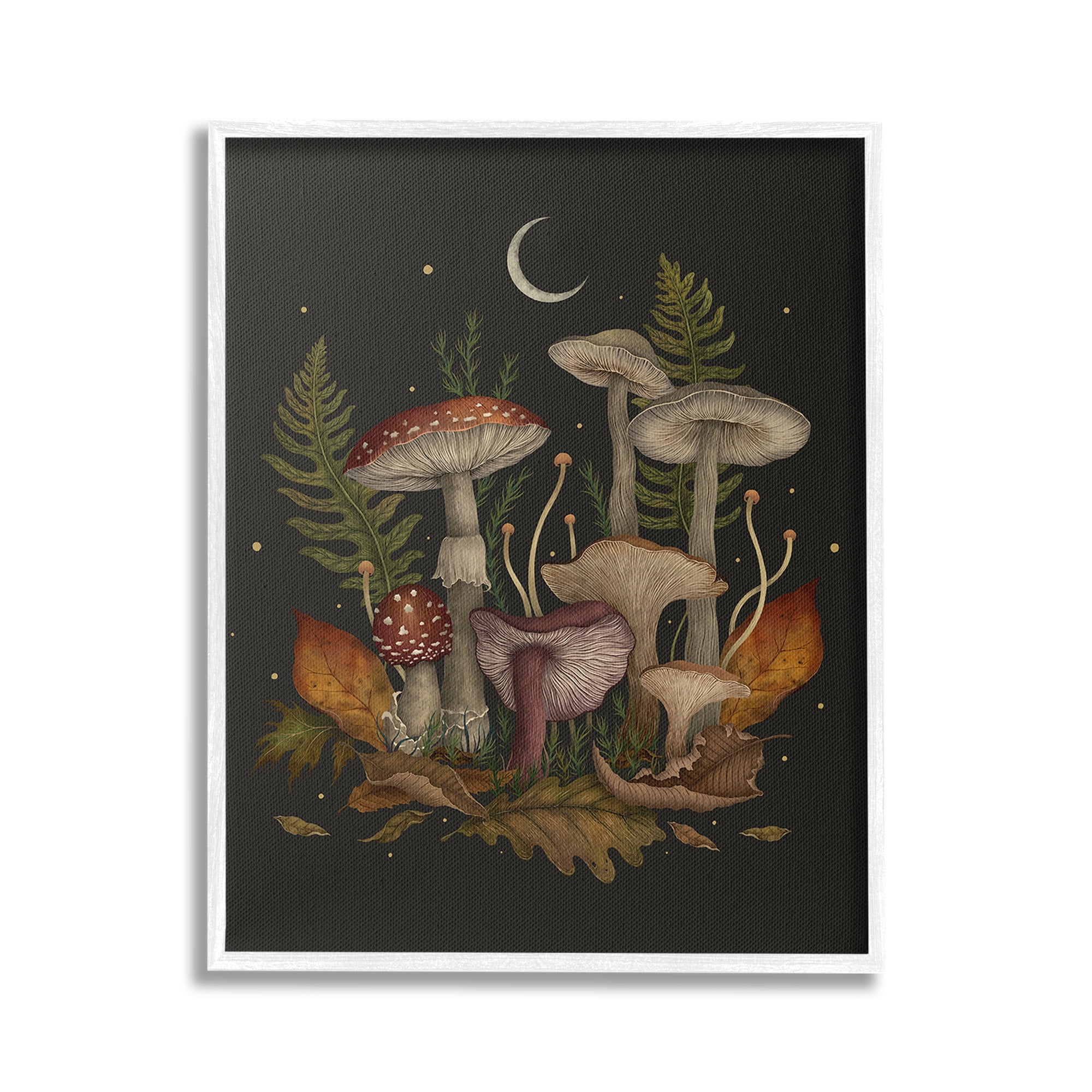 Stupell Industries Dark Mushrooms with Moon Botanical & Floral Painting White Framed Art Print Wall Art, 16 x 20