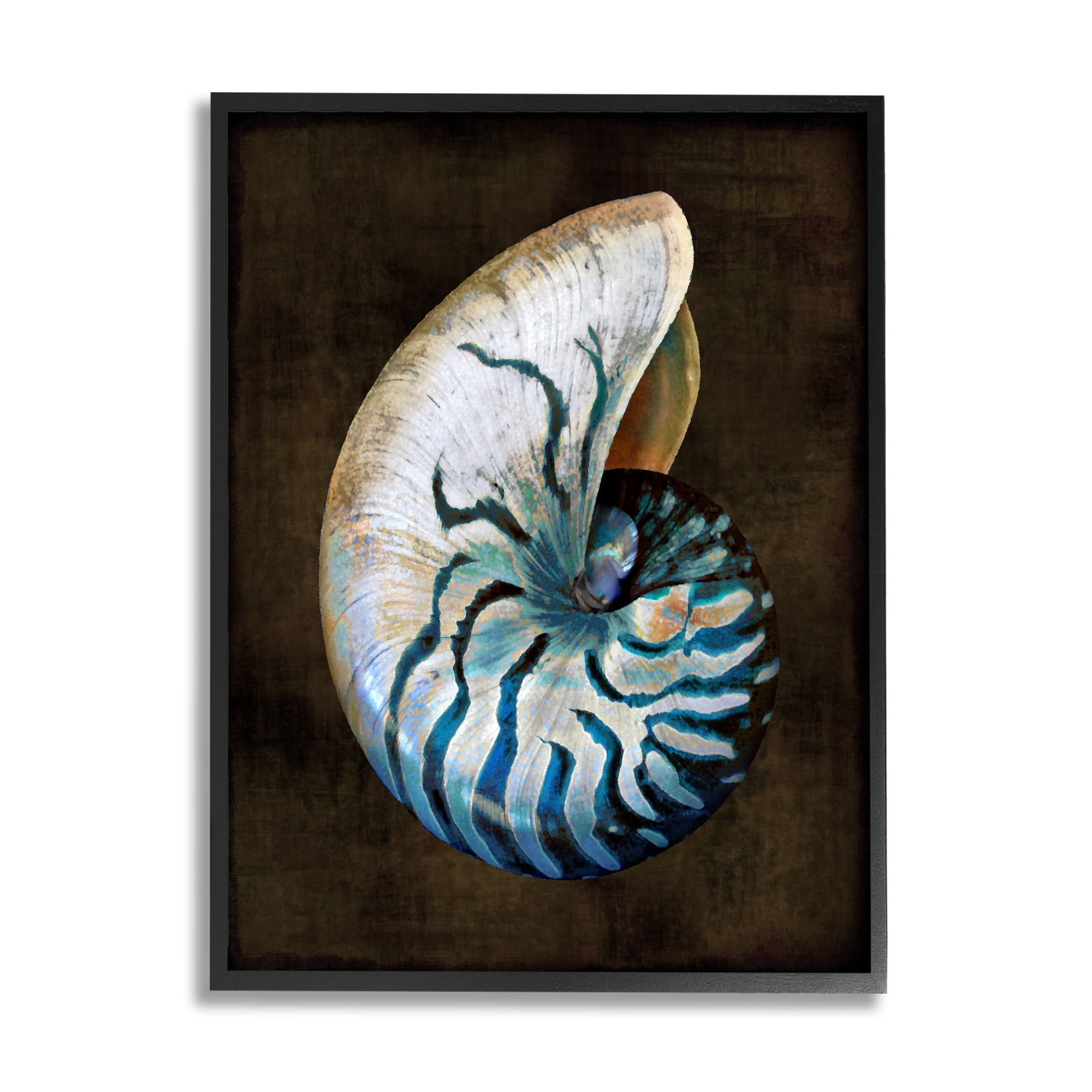 Stupell Industries Dark Nautilus Shell Nature Painting Black Framed Art Print Wall Art, 11 x 14