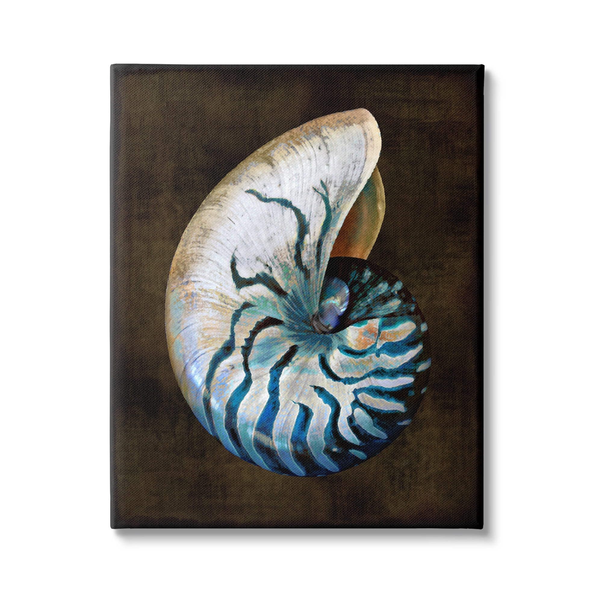 Stupell Industries Dark Nautilus Shell Nature Painting Gallery Wrapped Canvas Art Print Wall Art, 16 x 20
