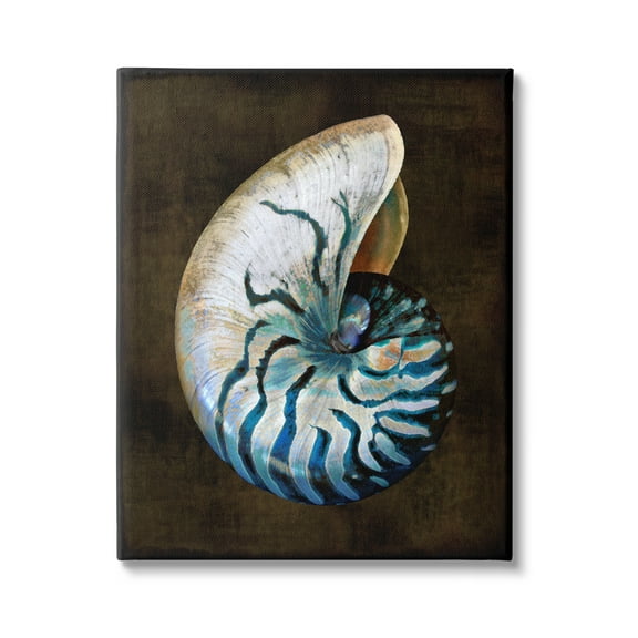 Stupell Industries Dark Nautilus Shell Nature Painting Gallery Wrapped Canvas Art Print Wall Art, 36 x 48