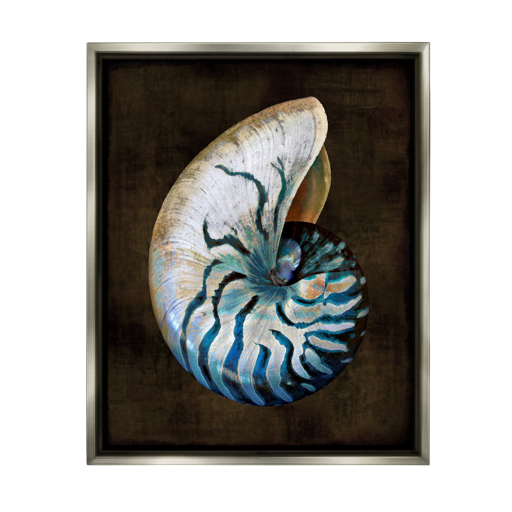 Stupell Industries Dark Nautilus Shell Nature Painting Gray Floater Framed Canvas Art Print Wall Art, 17 x 21