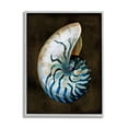 thumbnail image 1 of Stupell Industries Dark Nautilus Shell Nature Painting Gray Framed Art Print Wall Art, 24 x 30, 1 of 9