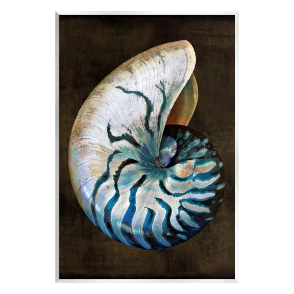 Stupell Industries Dark Nautilus Shell Nature Painting Unframed Art Print Wall Art, 10 x 15