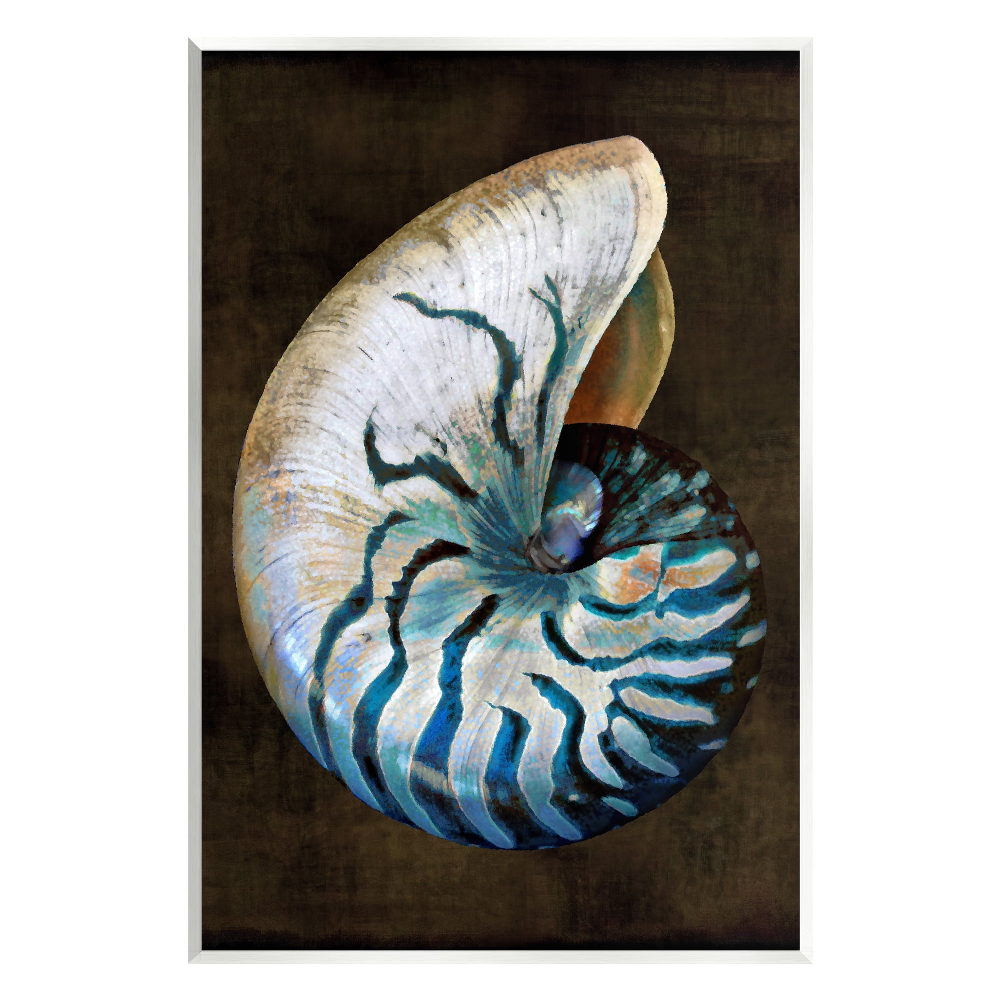 Stupell Industries Dark Nautilus Shell Nature Painting Unframed Art Print Wall Art, 13 x 19