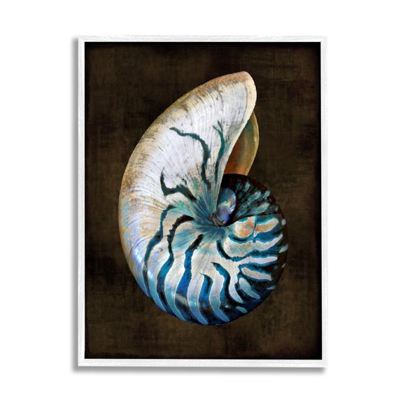 Stupell Industries Dark Nautilus Shell Nature Painting White Framed Art Print Wall Art, 11 x 14