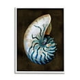 thumbnail image 1 of Stupell Industries Dark Nautilus Shell Nature Painting White Framed Art Print Wall Art, 16 x 20, 1 of 9