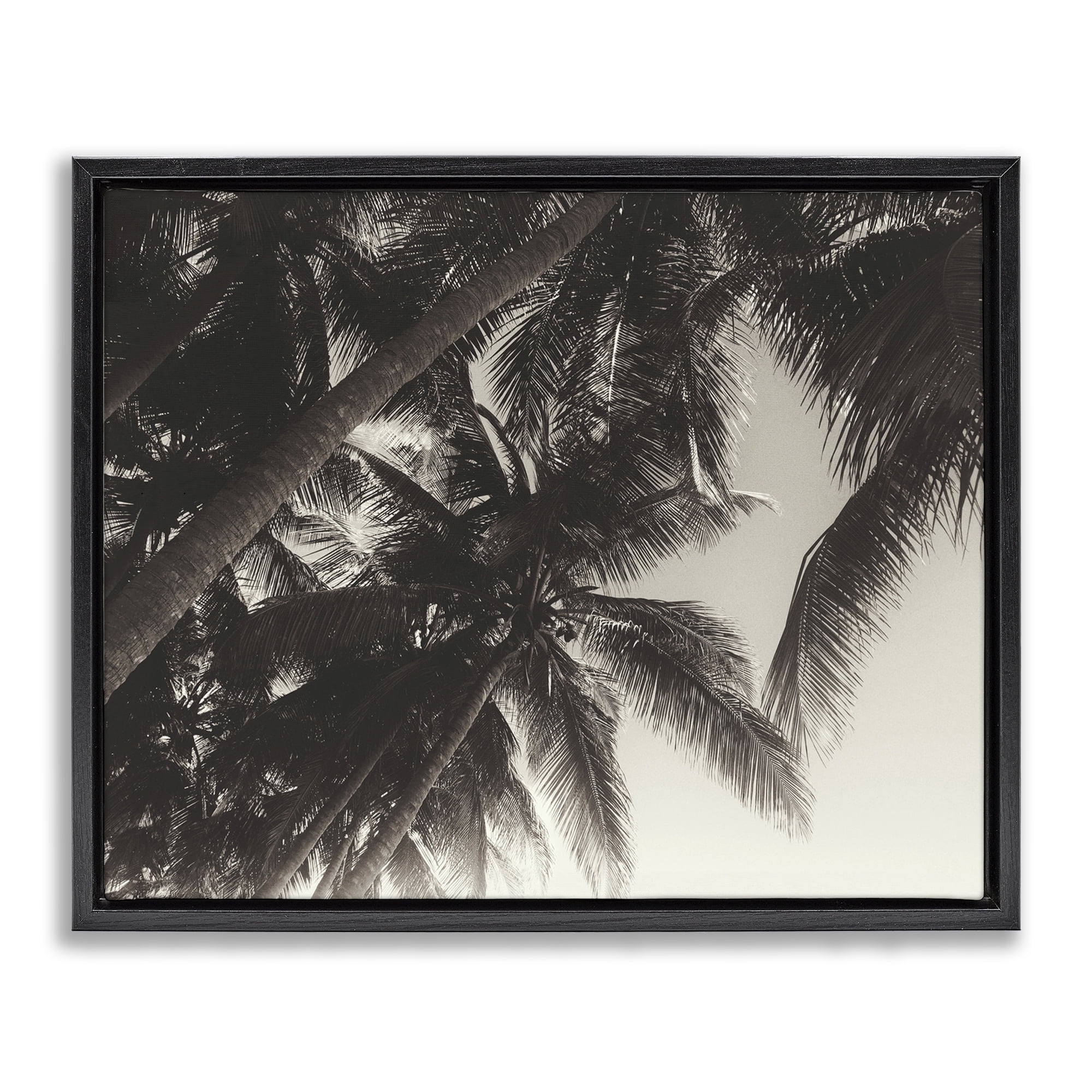Stupell Industries Dark Palm Leaves Botanical & Floral Photography Black Floater Framed Canvas Art Print Wall Art, 31 x 25