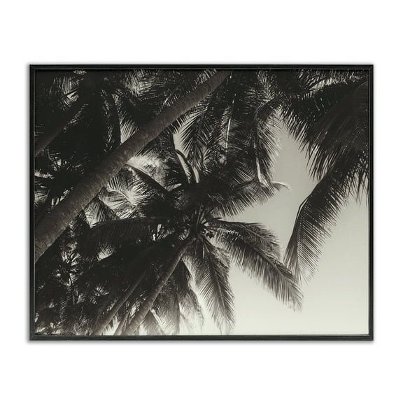 Stupell Industries Dark Palm Leaves Botanical & Floral Photography Black Framed Art Print Wall Art, 14 x 11