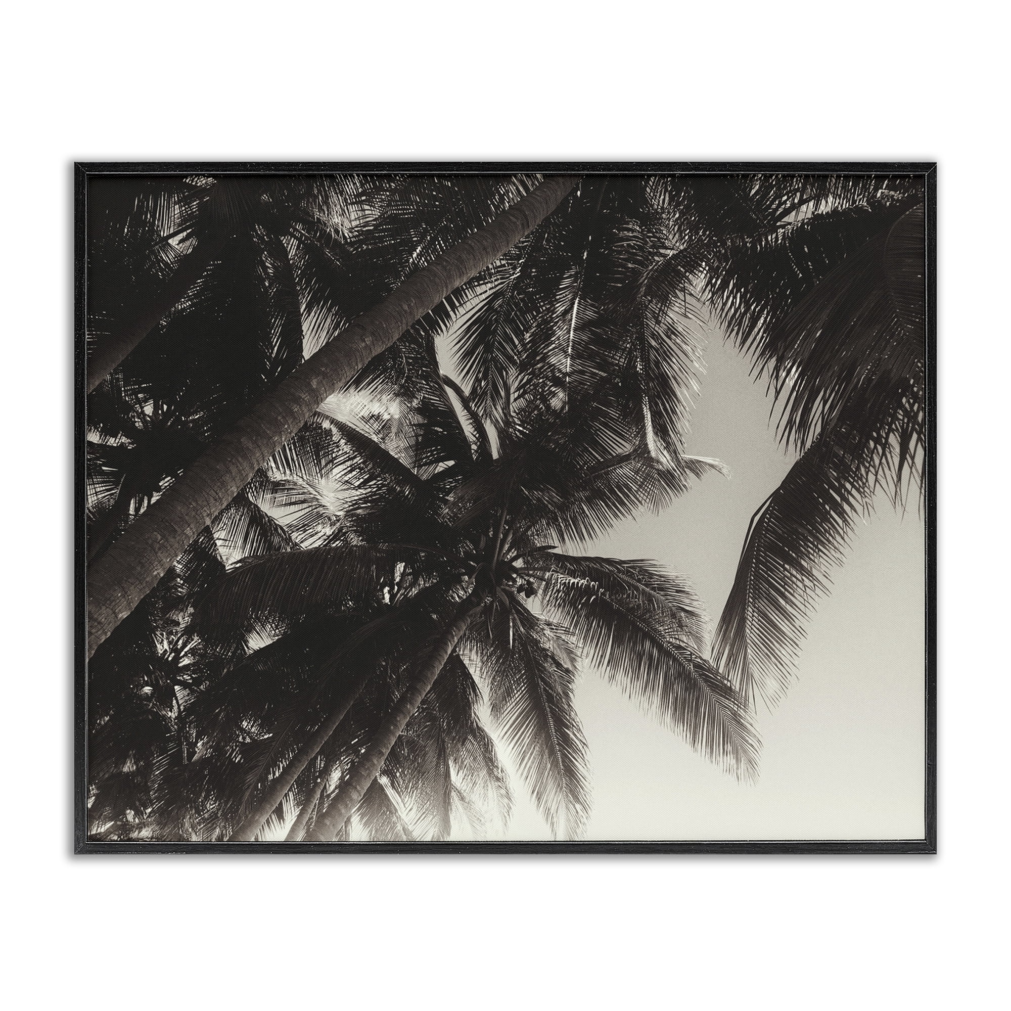 Stupell Industries Dark Palm Leaves Botanical & Floral Photography Black Framed Art Print Wall Art, 20 x 16