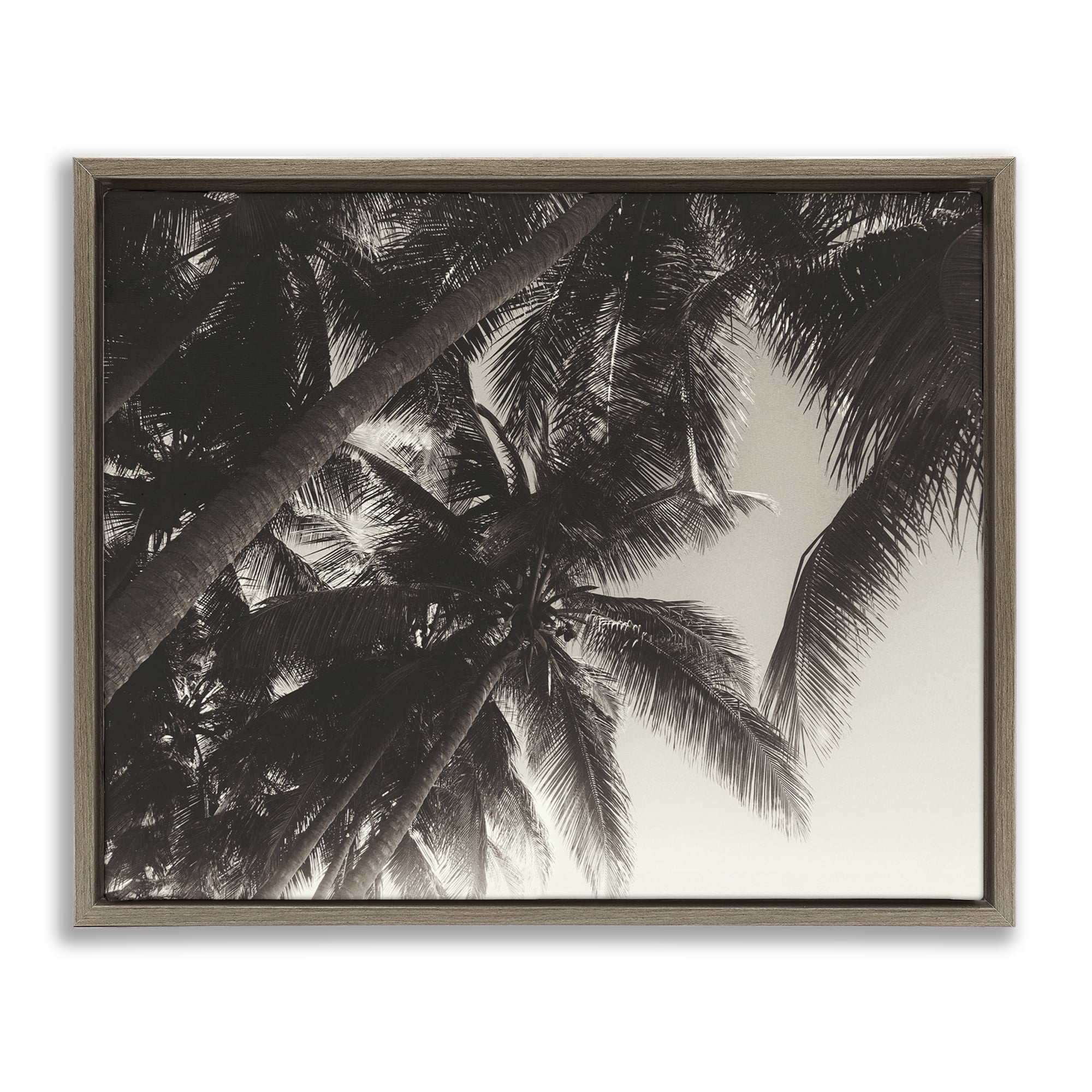 Stupell Industries Dark Palm Leaves Botanical & Floral Photography Brown Floater Framed Canvas Art Print Wall Art, 31 x 25