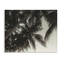 Stupell Industries Dark Palm Leaves Botanical & Floral Photography Gallery Wrapped Canvas Art Print Wall Art, 20 x 16