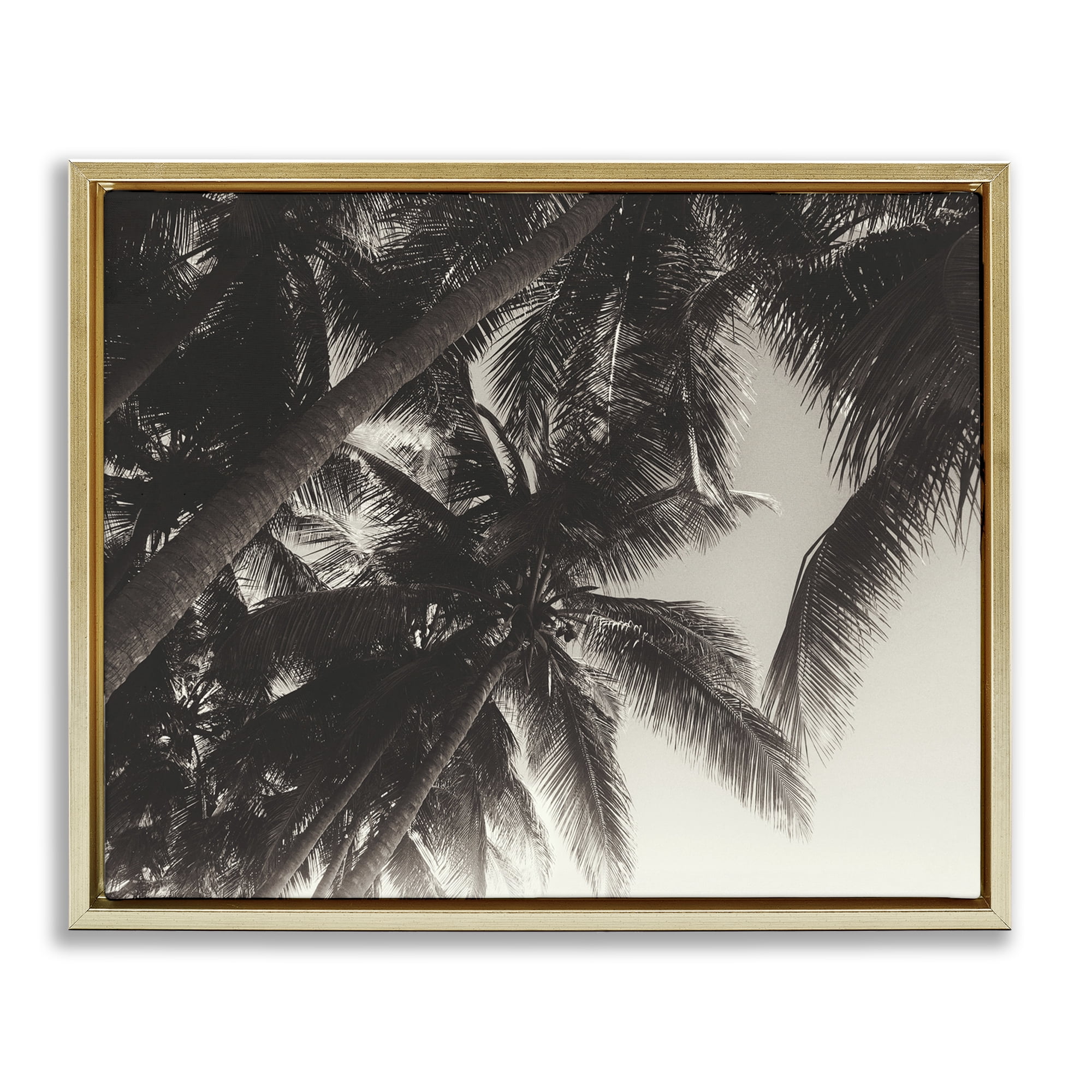 Stupell Industries Dark Palm Leaves Botanical & Floral Photography Gold Floater Framed Canvas Art Print Wall Art, 21 x 17