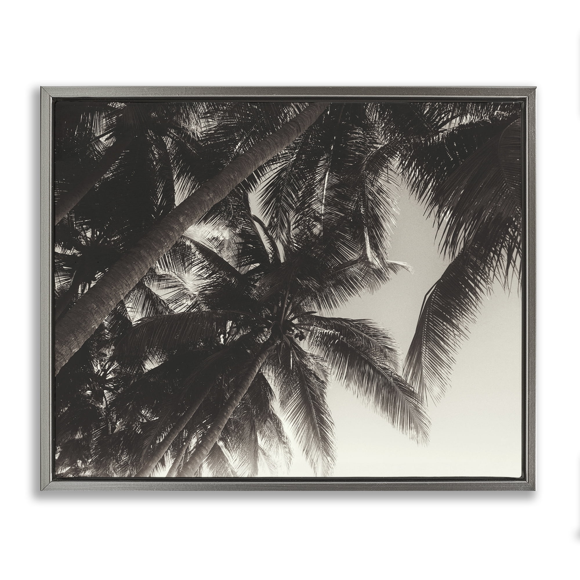 Stupell Industries Dark Palm Leaves Botanical & Floral Photography Gray Floater Framed Canvas Art Print Wall Art, 21 x 17