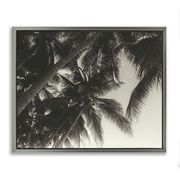 Stupell Industries Dark Palm Leaves Botanical & Floral Photography Gray Floater Framed Canvas Art Print Wall Art, 31 x 25