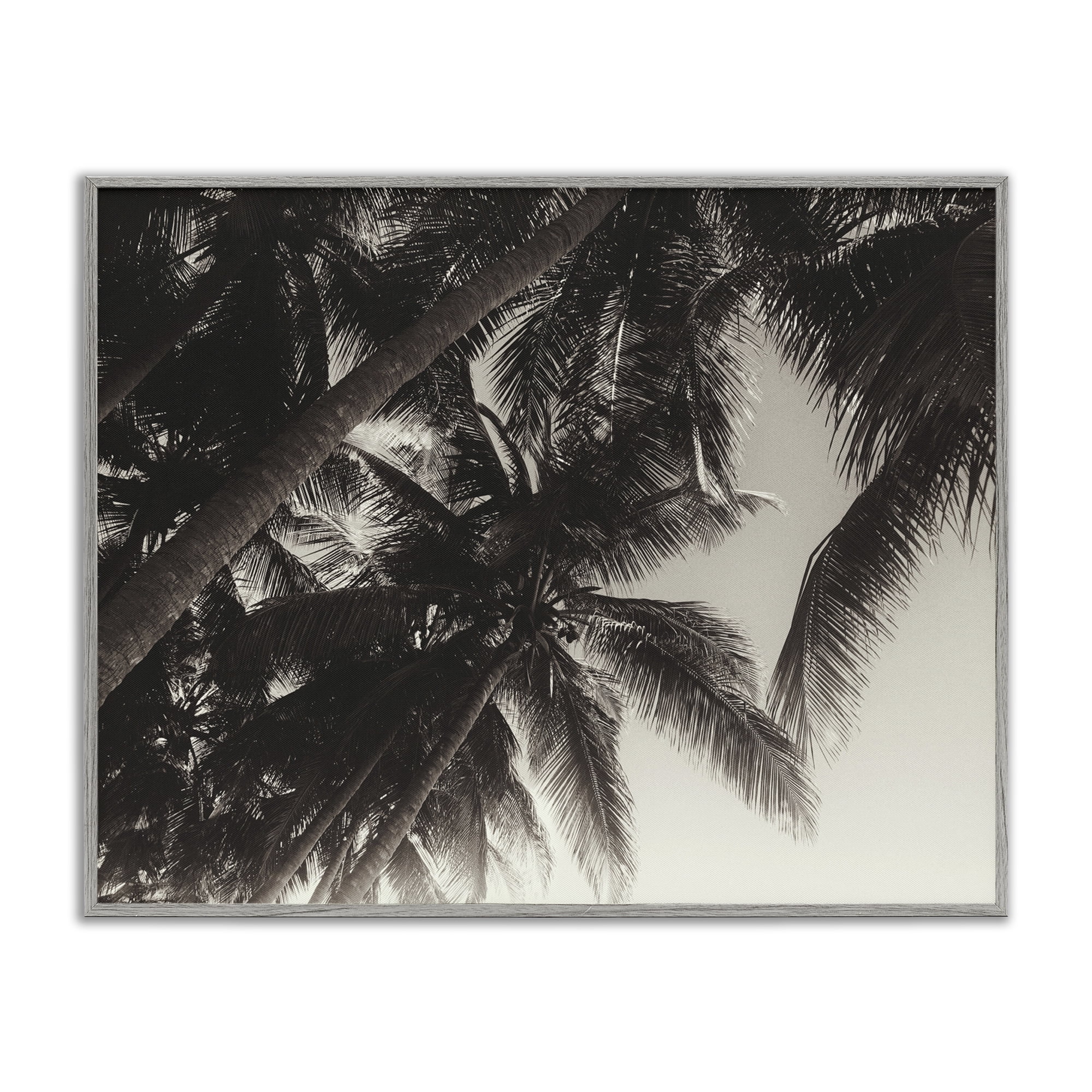 Stupell Industries Dark Palm Leaves Botanical & Floral Photography Gray Framed Art Print Wall Art, 30 x 24